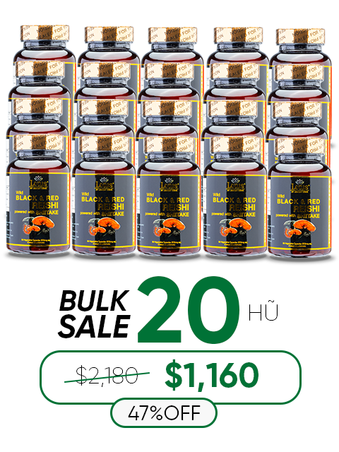 SUPER BLACK RED REISHI SHIITAKE - NẤM LINH CHI ĐỎ ĐEN 奇跡の赤黒霊芝