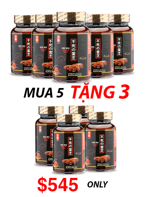 JAPANESE NANO RED REISHI - THUẦN LINH CHI ĐỎ 480MG パワフル赤霊芝