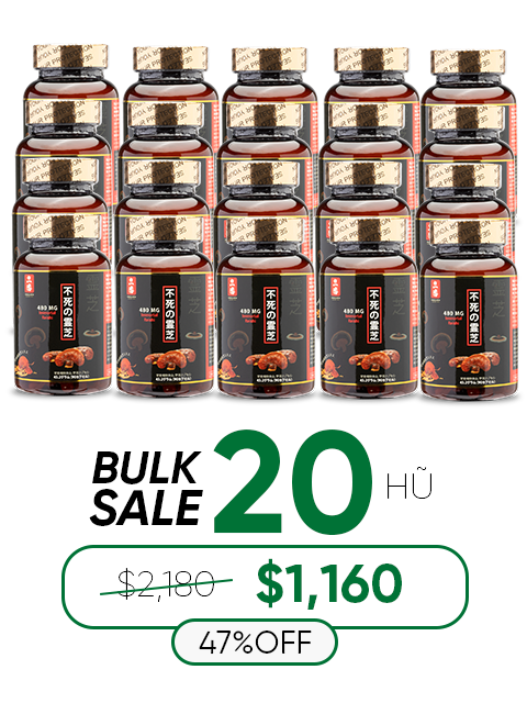 JAPANESE NANO RED REISHI - THUẦN LINH CHI ĐỎ 480MG パワフル赤霊芝