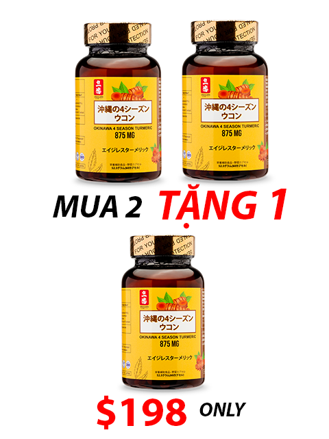OKINAWA FOUR SEASON TURMERIC - NGHỆ BỐN MÙA OKINAWA 沖縄の四季ウコン