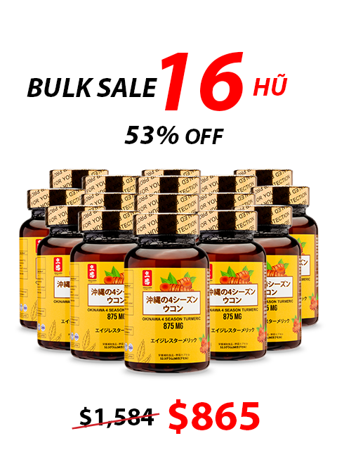 OKINAWA FOUR SEASON TURMERIC - NGHỆ BỐN MÙA OKINAWA 沖縄の四季ウコン