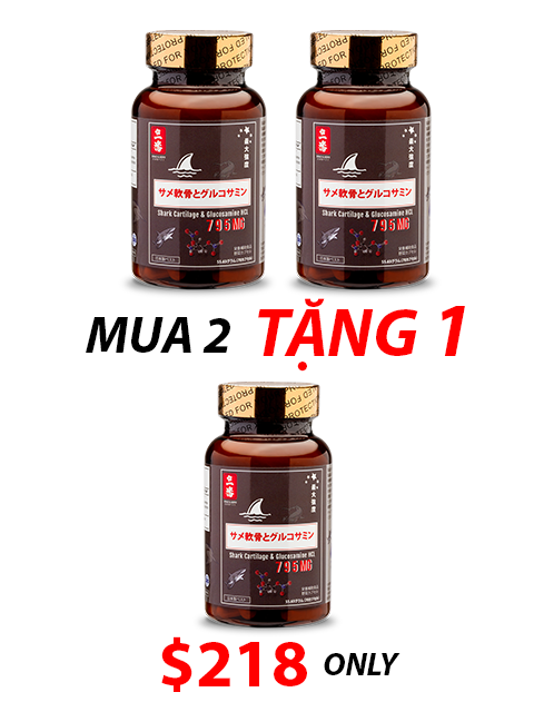 SHARK CARTILAGE & GLUCOSAMINE - SỤN CÁ MẬP CHO XƯƠNG KHỚP 日本のサメ軟骨