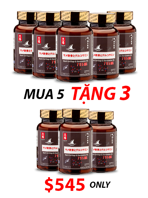 SHARK CARTILAGE & GLUCOSAMINE - SỤN CÁ MẬP CHO XƯƠNG KHỚP 日本のサメ軟骨