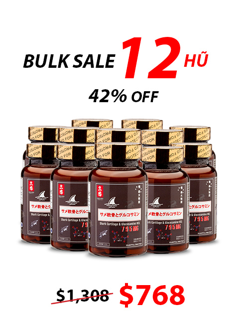 SHARK CARTILAGE & GLUCOSAMINE - SỤN CÁ MẬP CHO XƯƠNG KHỚP 日本のサメ軟骨