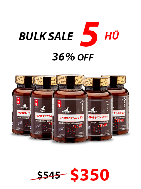SHARK CARTILAGE & GLUCOSAMINE - SỤN CÁ MẬP CHO XƯƠNG KHỚP 日本のサメ軟骨