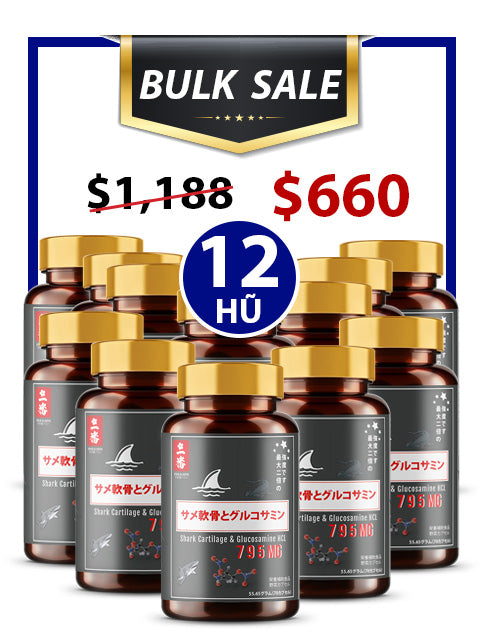 BULK SALE SAVING 12 HŨ - SỤN CÁ MẬP SHARK GLUCOSAMINE CHO XƯƠNG KHỚP