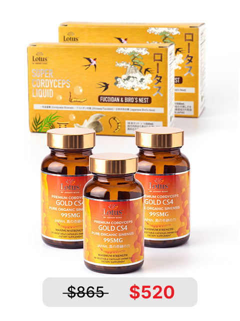 COMBO SUPER GOLD - 2 LOẠI ĐÔNG TRÙNG HẠ THẢO THƯỢNG HẠNG スーパーゴールド冬虫夏草
