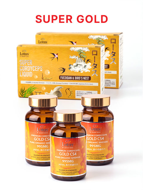 COMBO SUPER GOLD - 2 LOẠI ĐÔNG TRÙNG HẠ THẢO THƯỢNG HẠNG スーパーゴールド冬虫夏草