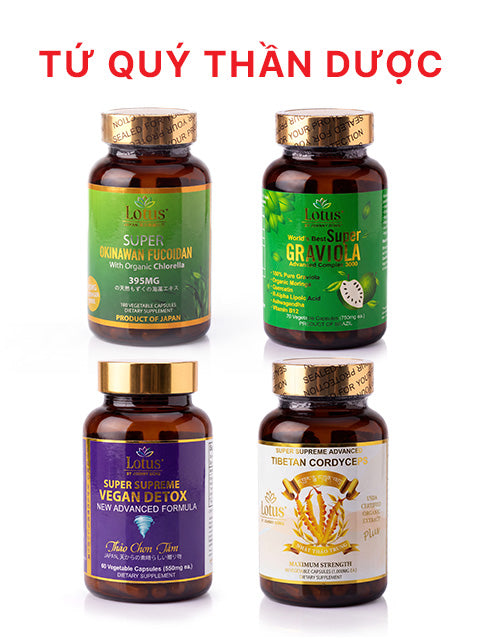 THE PRECIOUS FOUR - TỨ QUÝ THẦN DƯỢC 四宝の神薬