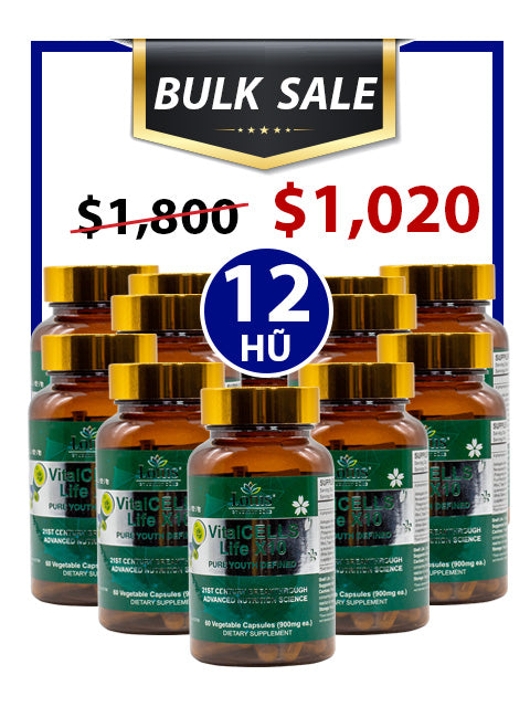 BULK SALE SAVING 12 HŨ - VITALCELLS LIFE X10 TRƯỜNG SANH TỰ CHI THẢO