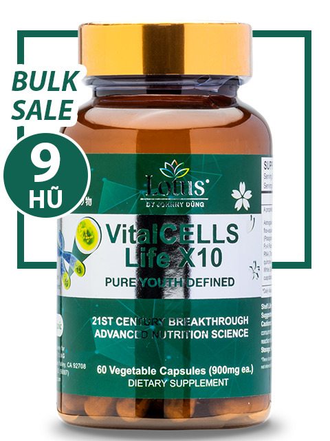 BULK SALE SAVING 9 HŨ - VITALCELLS LIFE X10 TRƯỜNG SANH TỰ CHI THẢO