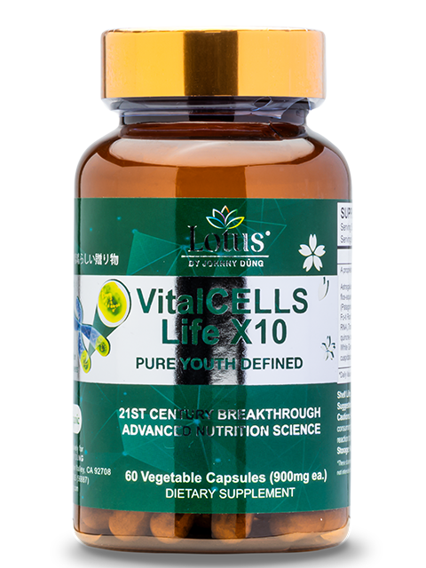 VitalCELLS LIFE X10 - TRƯỜNG SANH TỰ CHI THẢO テロメアからの生命力