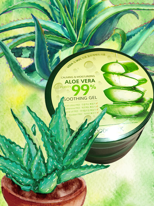 KOREAN ALL NATURAL ALOE VERA LOTION - 99% PURITY