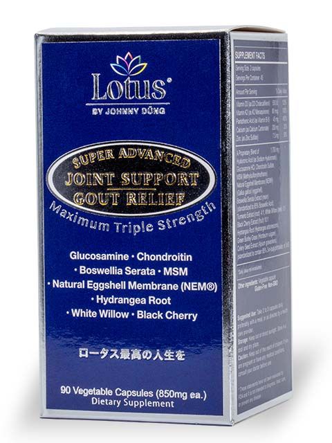 SUPER ADVANCED JOINT GOUT RELIEF - CHỐNG ĐAU NHỨC XƯƠNG KHỚP 一歩ごとの自由