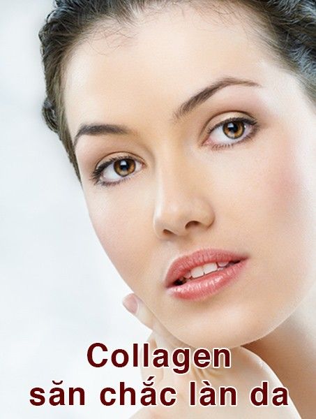 LOTUS COLLAGEN BIRD'S NEST FACE MASK