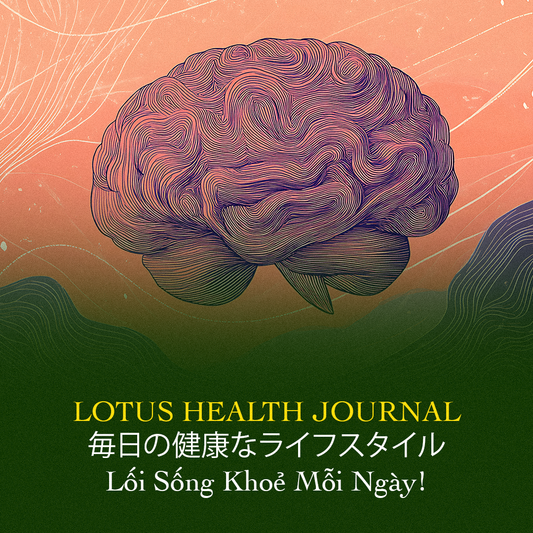 Lotus Health Journal #6 🧠 Não Bộ – Kho Báu Kỳ Diệu Ẩn Trong Mỗi Con Người