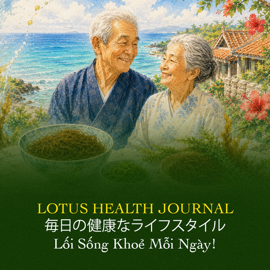 LOTUS HEALTH JOURNAL # 17 - TRÍ TUỆ TỪ HÒN ĐẢO TRƯỜNG THỌ