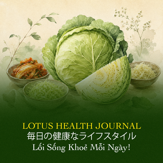 LOTUS HEALTH JOURNAL #18 - BẮP CẢI – VẺ ĐẸP GIẢN DỊ ĐANG TRỞ LẠI