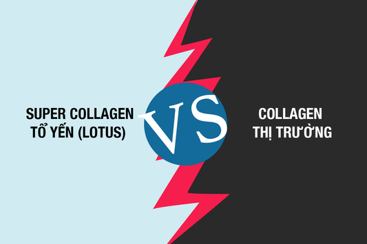 SO SÁNH SUPER COLLAGEN TỔ YẾN PLUS & CÁC LOẠI COLLAGEN KHÁC: ĐIỀU GÌ LÀM NÊN SỰ KHÁC BIỆT??