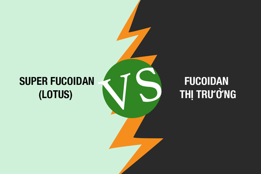 LOTUS SUPER FUCOIDAN – SO SÁNH CHẤT LƯỢNG VỚI CÁC LOẠI FUCOIDAN KHÁC