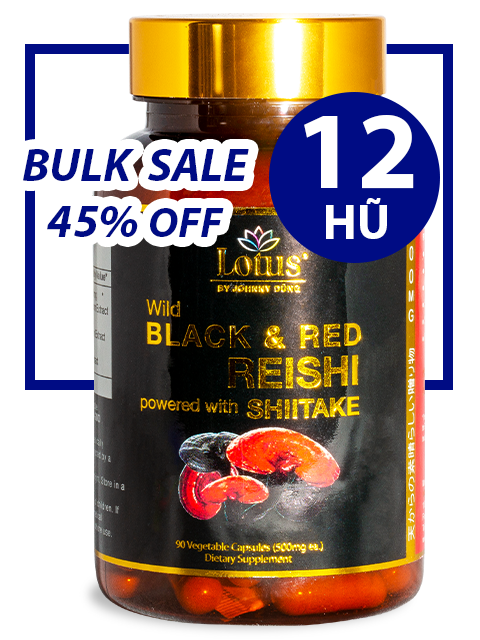 BULK SALE SAVING 12 HŨ - SUPER BLACK RED REISHI