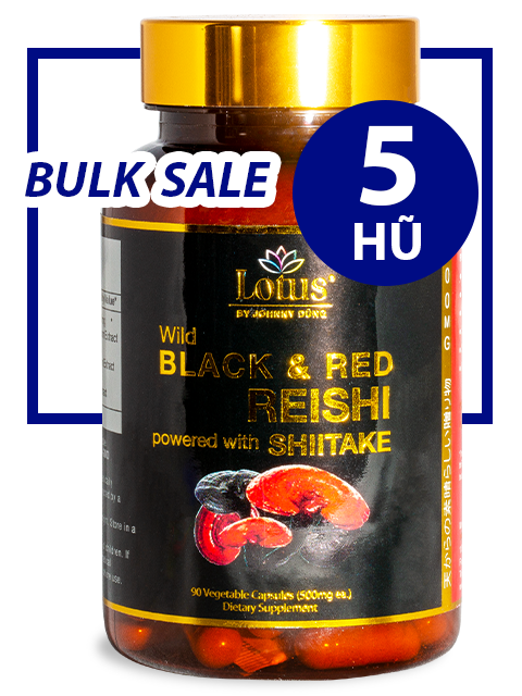 BULK SALE SAVING 5 HŨ - SUPER BLACK RED REISHI