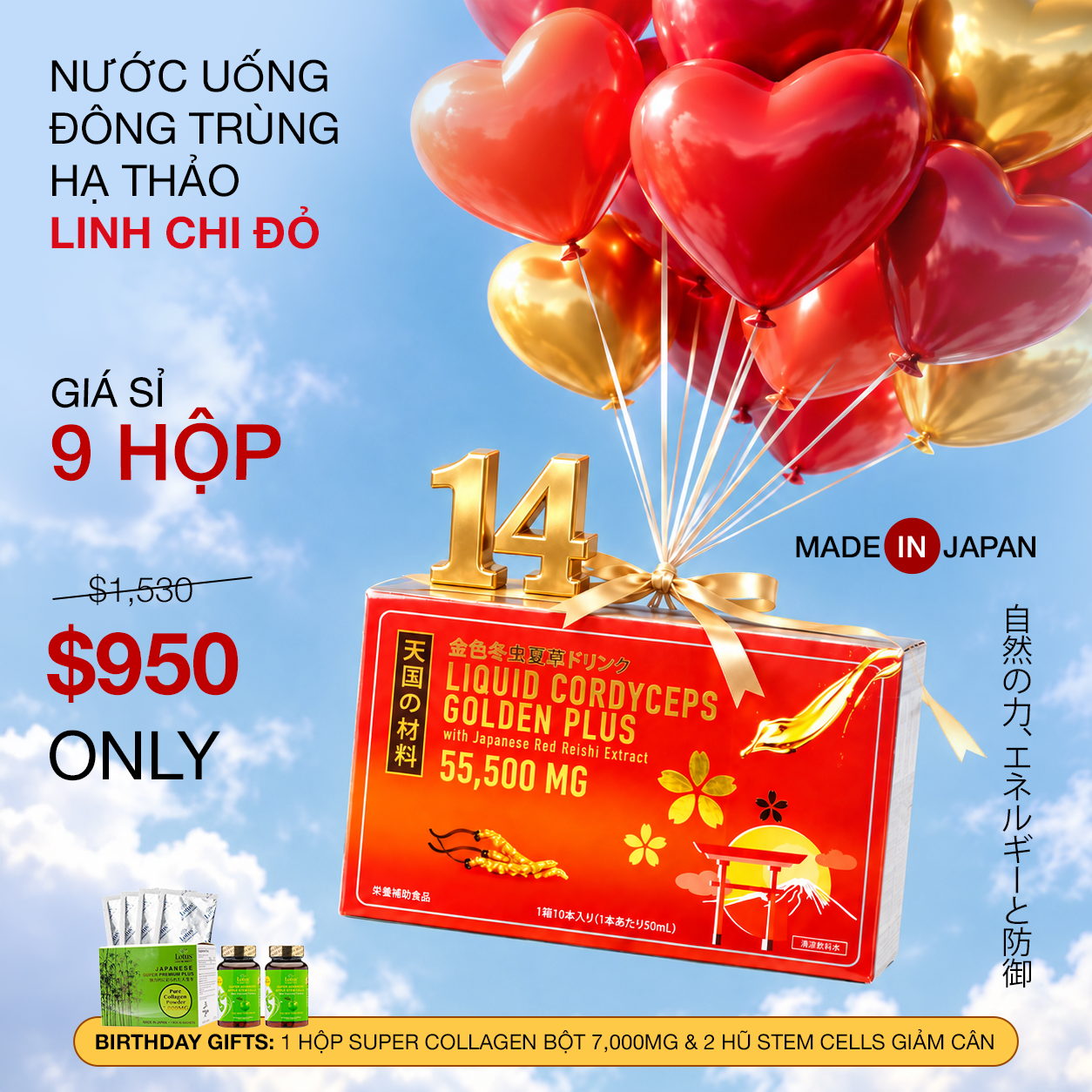 LIQUID CORDYCEPS - NƯỚC UỐNG ĐÔNG TRÙNG HẠ THẢO LINH CHI ĐỎ 冬虫夏草ドリンク