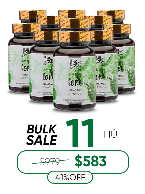 SUPER NANO FERMENTED ISHIGAKI CHLORELLA 石垣ナノクロレラ