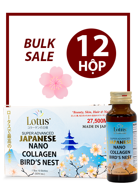 BULK 12 BOXES - SUPER COLLAGEN TỔ YẾN TRÀ HOA NỮ PLUS 27,500MG