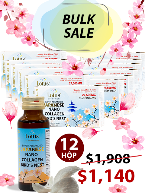 BULK 12 BOXES - SUPER COLLAGEN TỔ YẾN TRÀ HOA NỮ PLUS 27,500MG