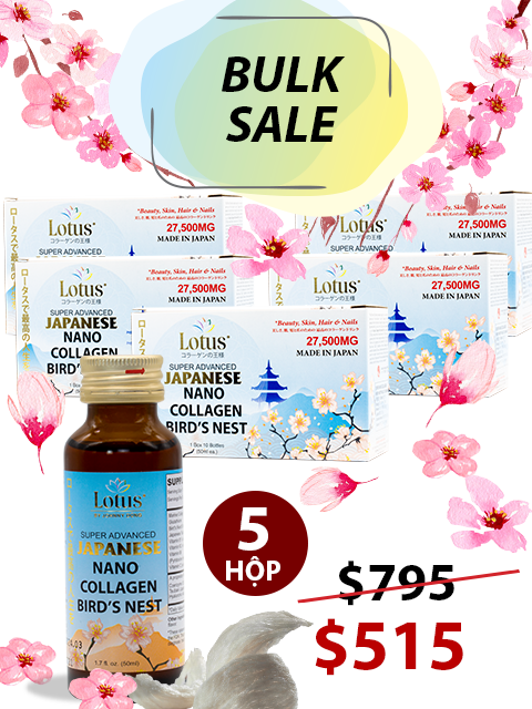 BULK 5 BOXES - SUPER COLLAGEN TỔ YẾN TRÀ HOA NỮ PLUS 27,500MG