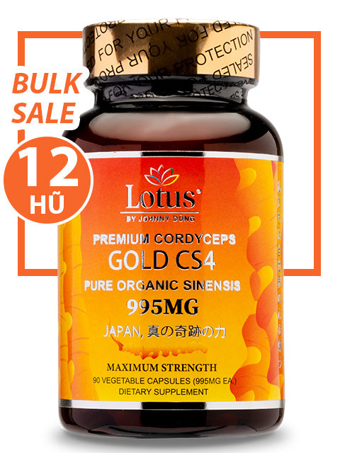 BULK SALE SAVING 12 HŨ - SUPER CORDYCEPS GOLD CS4