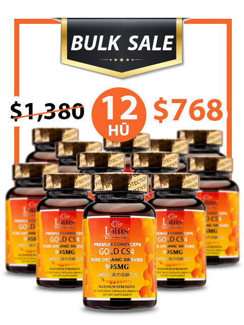 BULK SALE SAVING 12 HŨ - SUPER CORDYCEPS GOLD CS4