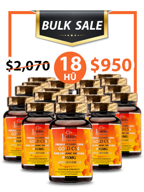 BULK SALE SAVING 18 HŨ - ĐÔNG TRÙNG HẠ THẢO VÀNG SUPER CORDYCEPS GOLD CS4