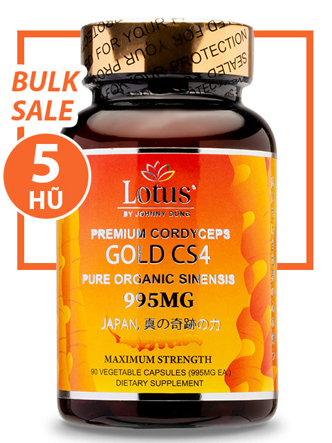 BULK SALE SAVING 5 HŨ - SUPER CORDYCEPS GOLD CS4