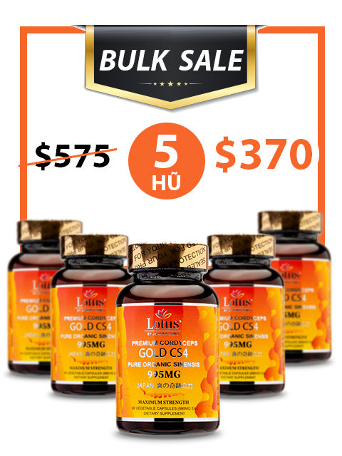 BULK SALE SAVING 5 HŨ - SUPER CORDYCEPS GOLD CS4