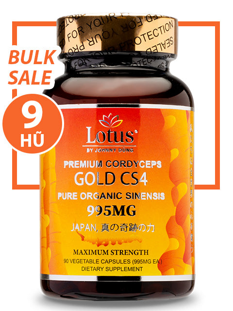 BULK SALE SAVING 9 HŨ - ĐÔNG TRÙNG HẠ THẢO VÀNG SUPER CORDYCEPS GOLD CS4