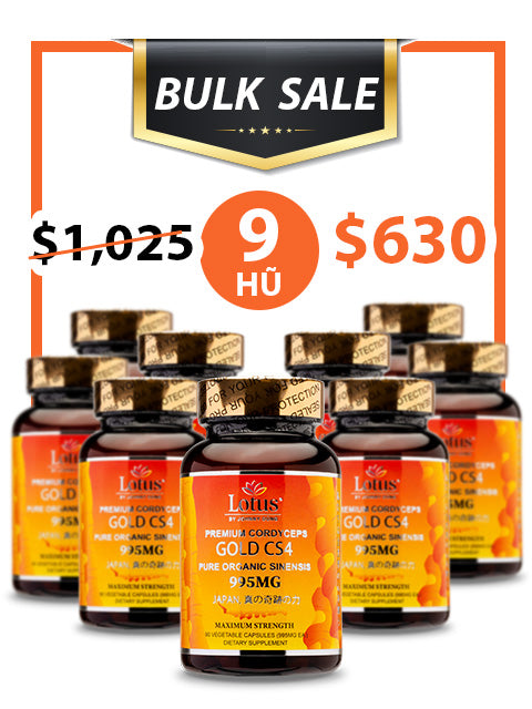 BULK SALE SAVING 9 HŨ - ĐÔNG TRÙNG HẠ THẢO VÀNG SUPER CORDYCEPS GOLD CS4