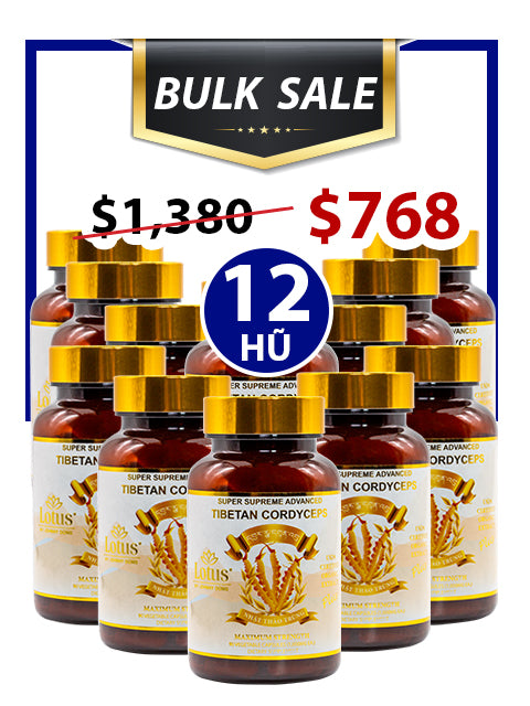 BULK SALE SAVING 12 HŨ - SUPER CORDYCEPS MIX 1,000MG