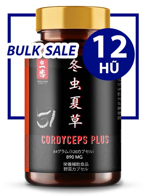 BULK SALE SAVING 12 HŨ - PREMIUM POWER CORDYCEPS PLUS 890MG