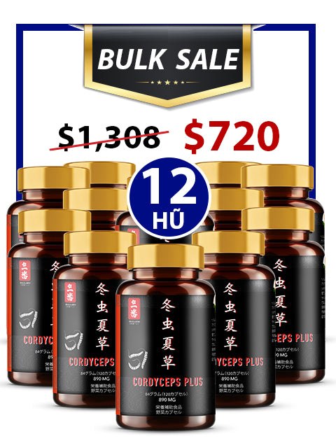 BULK SALE SAVING 12 HŨ - PREMIUM POWER CORDYCEPS PLUS 890MG