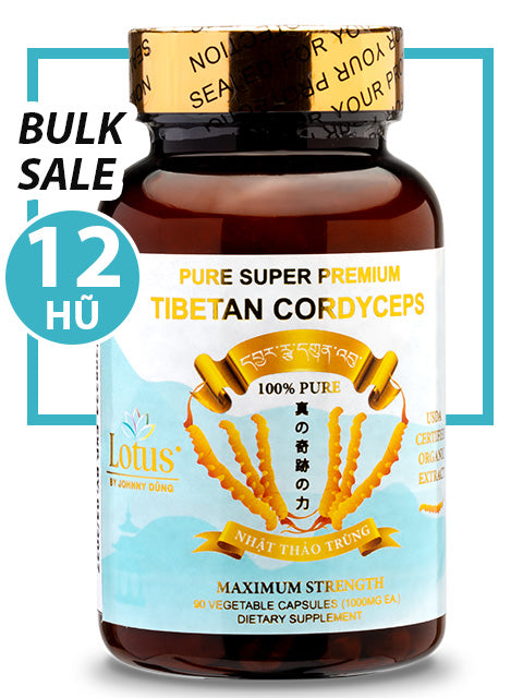 BULK SALE SAVING 12 HŨ - PREMIUM PURE CORDYCEPS 1,000MG (90 VIÊN)