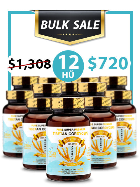 BULK SALE SAVING 12 HŨ - PREMIUM PURE CORDYCEPS 1,000MG (90 VIÊN)