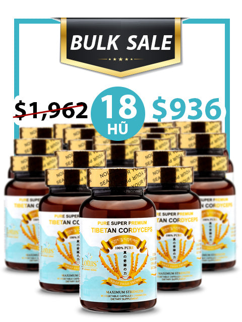 BULK SALE SAVING 18 HŨ - PREMIUM PURE CORDYCEPS 1,000MG (90 VIÊN)