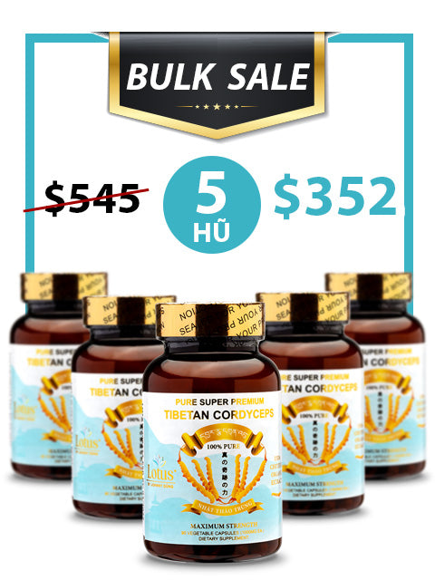 BULK SALE SAVING 5 HŨ - PREMIUM PURE CORDYCEPS 1,000MG (90 VIÊN)