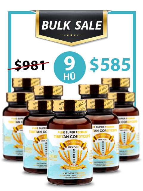 BULK SALE SAVING 9 HŨ - PREMIUM PURE CORDYCEPS 1,000MG (90 VIÊN)