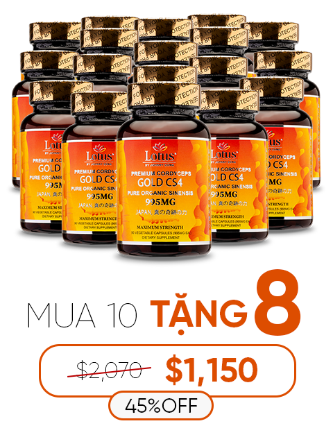 ORGANIC SUPER TIBETAN CORDYCEPS GOLD CS4 自然の恵みの結晶