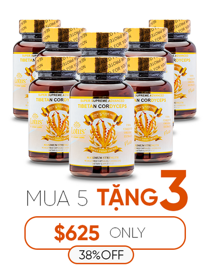 SUPER ADVANCED TIBETAN CORDYCEPS BIO-ACTIVE COMPLEX 1,000MG 活力を育む自然の恵み