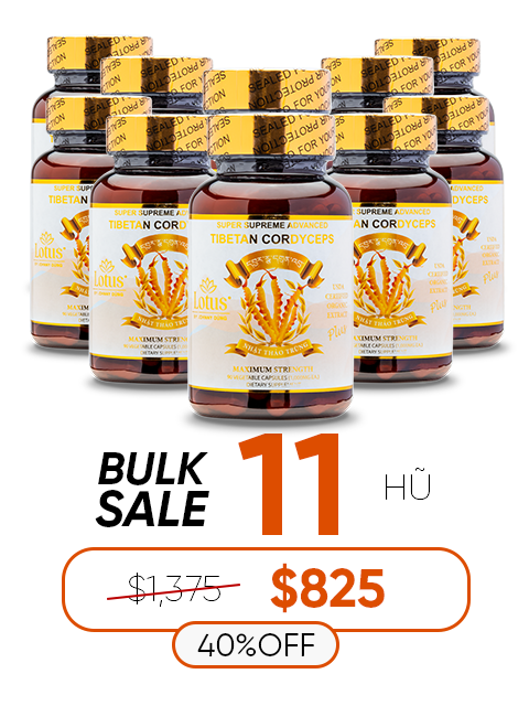 SUPER ADVANCED TIBETAN CORDYCEPS MIX 1,000MG 活力を育む自然の恵み