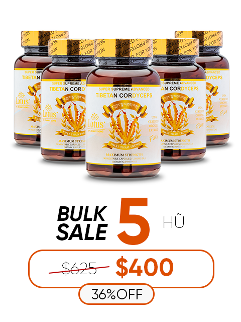 SUPER ADVANCED TIBETAN CORDYCEPS MIX 1,000MG 活力を育む自然の恵み